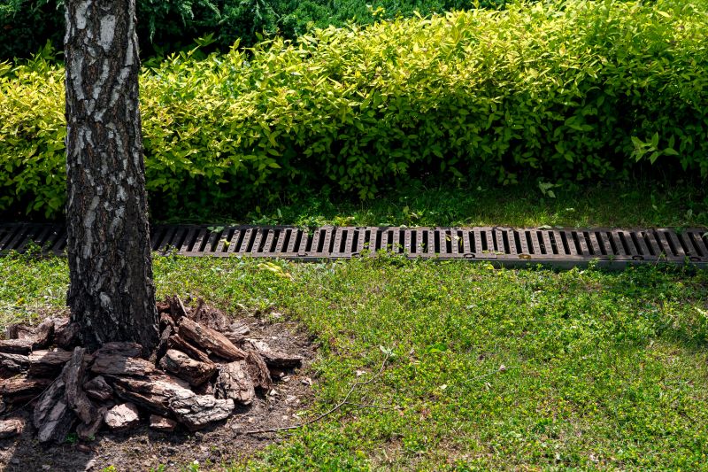 Wet Yard Drainage in Tuscaloosa, AL